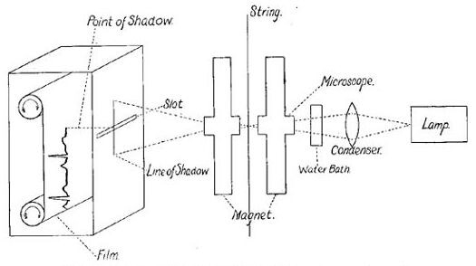 Fig. 34