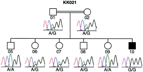 Figure  1