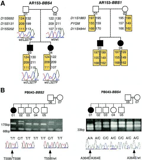 Figure  3