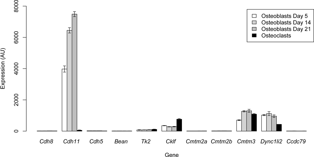 Figure 4