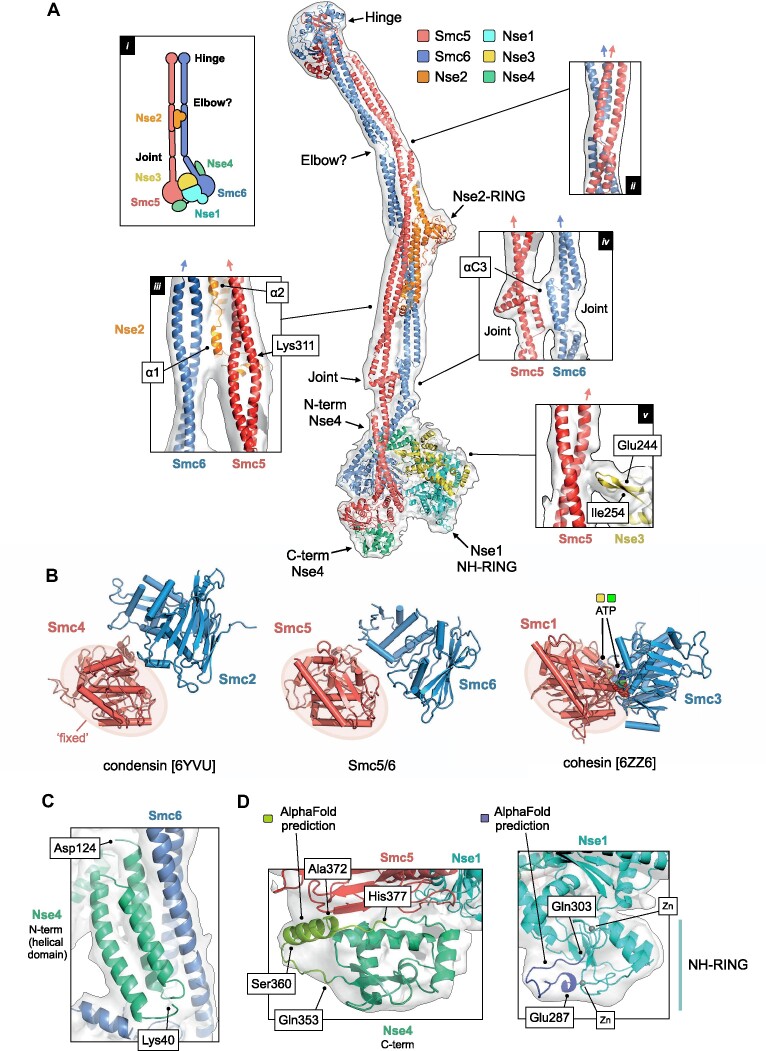 Figure 2.