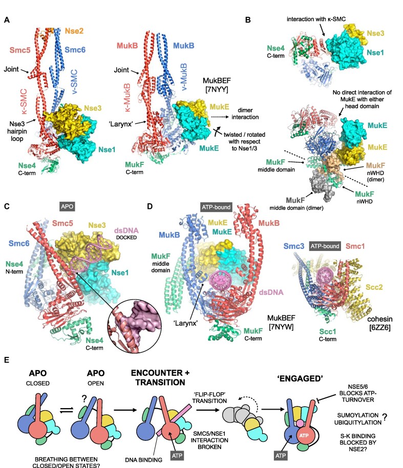 Figure 5.