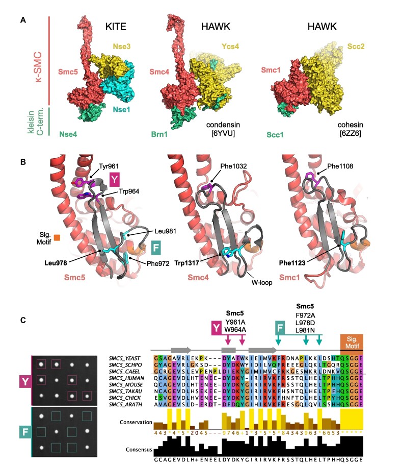 Figure 3.