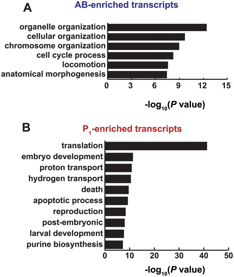 Fig 5