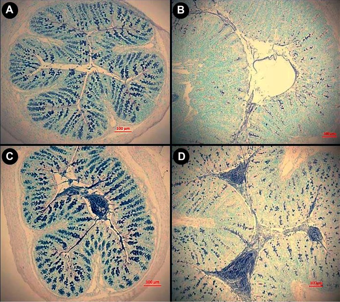 FIG 6 