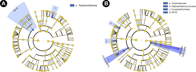 FIG 10 