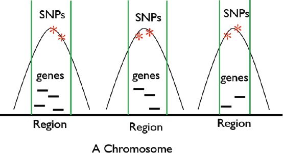 Figure 1.