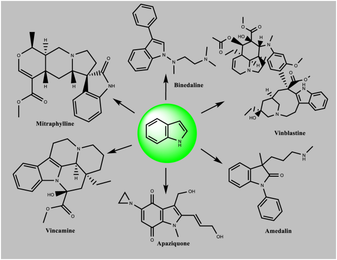 Fig. 1