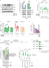 Extended Data Fig. 3