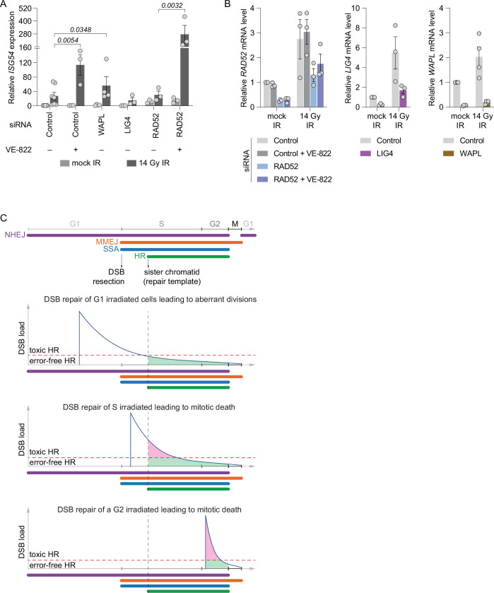 Extended Data Fig. 8