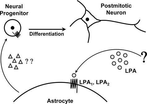 FIGURE 9.