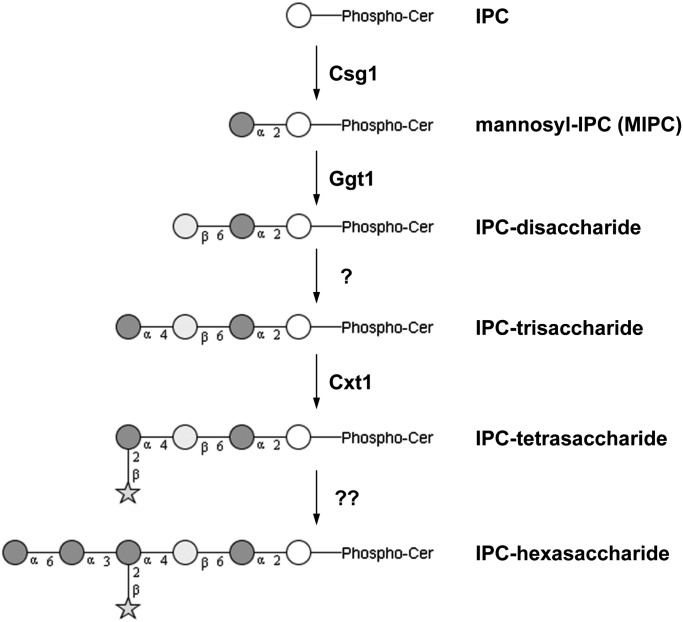 Fig. 4.