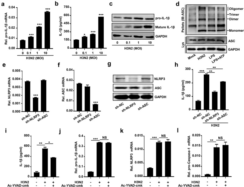 Figure 2.