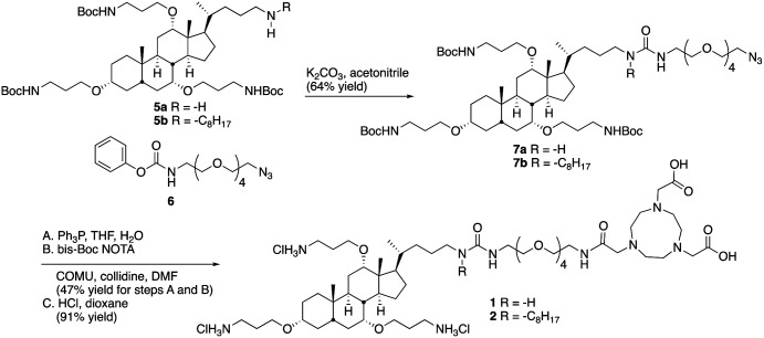 Scheme 1