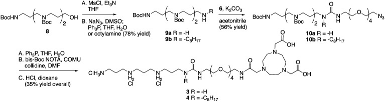 Scheme 2