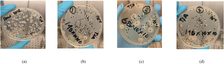 Fig. 19