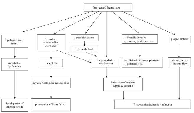 Figure 1)