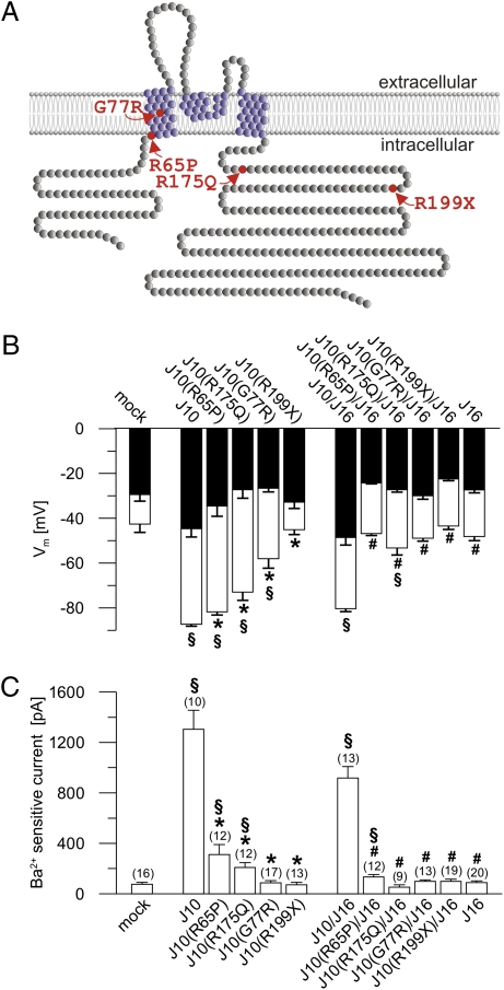 Fig. 3.