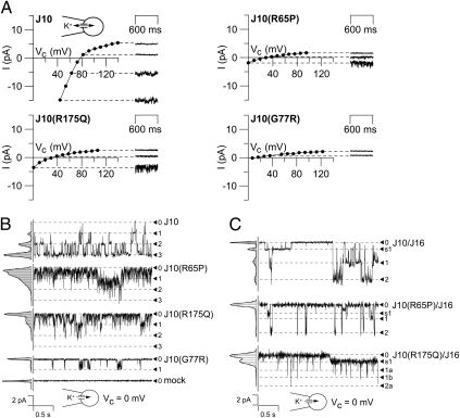 Fig. 4.