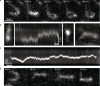 Extended Data Fig. 2