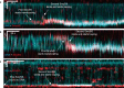 Extended Data Fig. 8