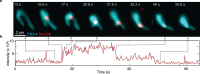 Extended Data Fig. 6