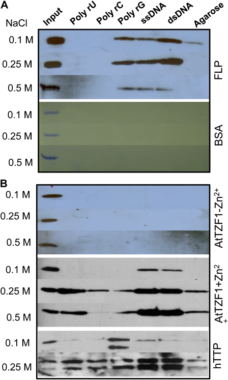 Figure 9.