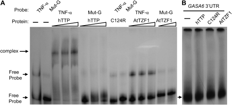 Figure 10.