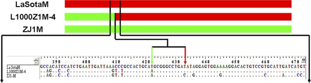 Fig. 3.