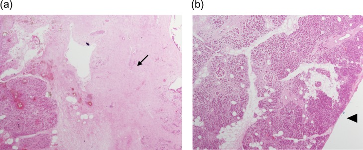 Figure 5: