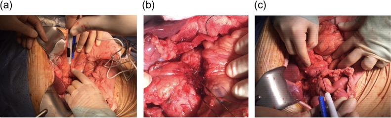 Figure 3: