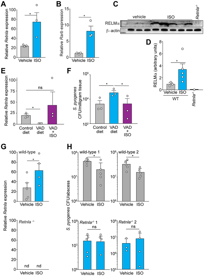 Figure 6: