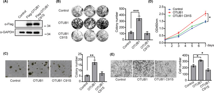 FIGURE 2