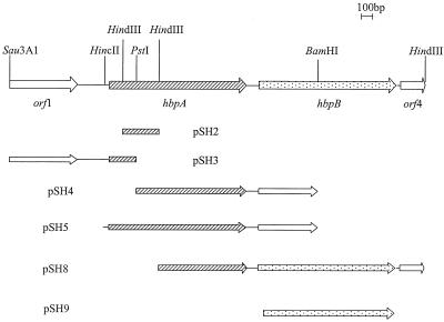 FIG. 1