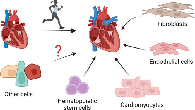 Image, graphical abstract