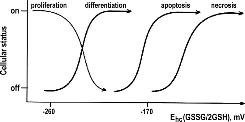 FIG. 1.