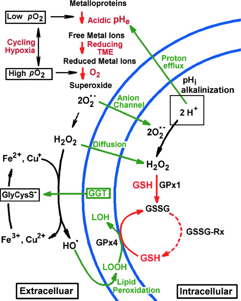 FIG. 3.