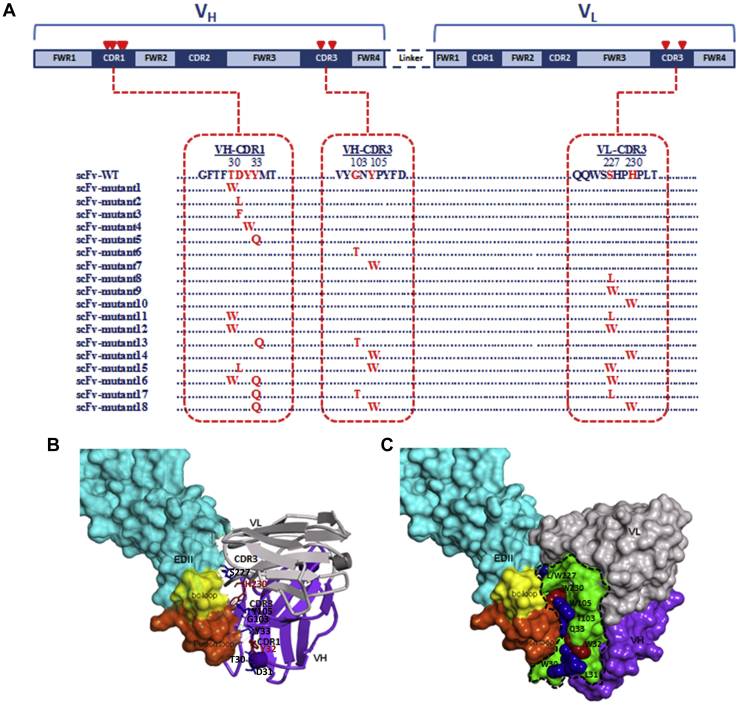 Figure 1