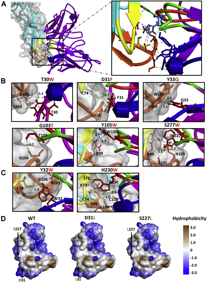 Figure 6