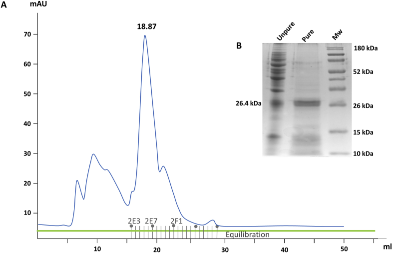 Supplemental Figure S1