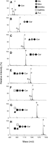 Fig. 4.