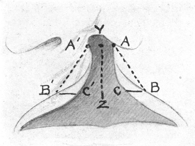 FIG. 1.