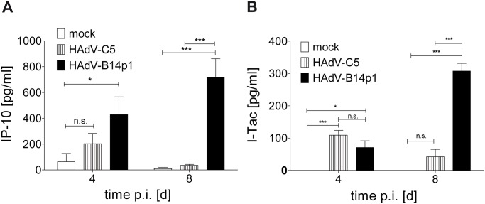 Fig 5