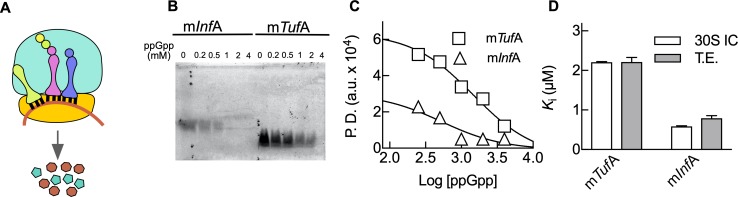 Fig 5