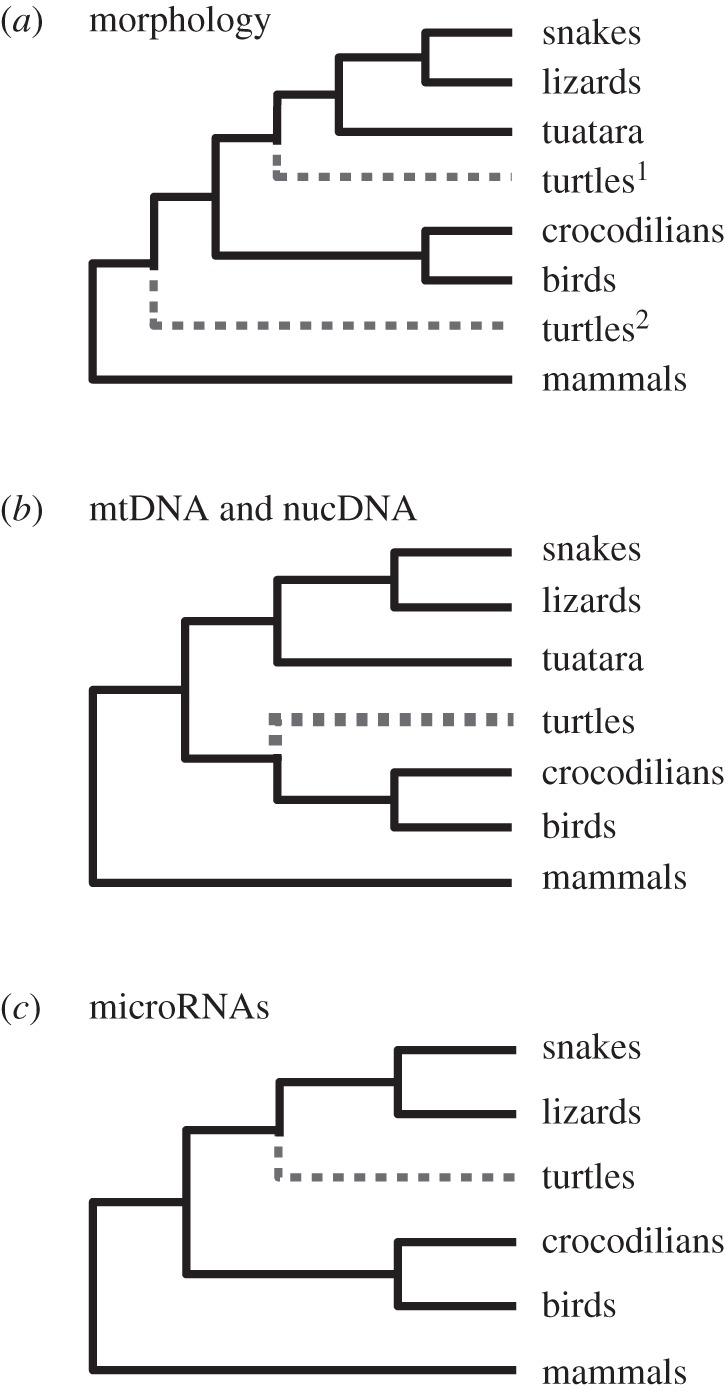 Figure 1.