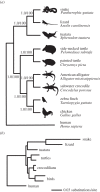 Figure 2.