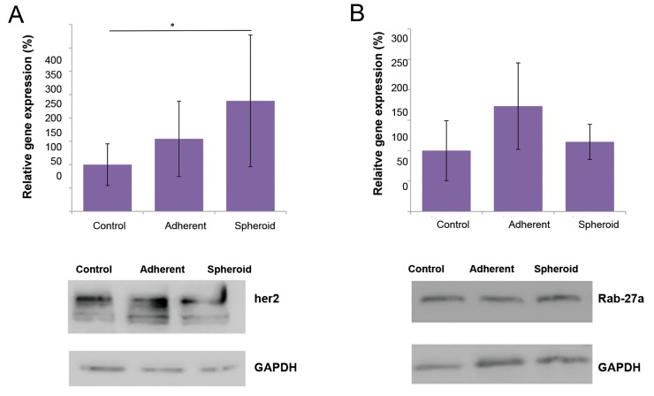 Fig.4