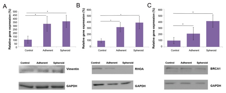 Fig.3