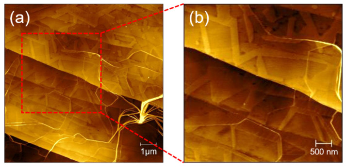 Figure 7