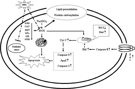 Figure 9